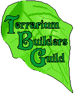 Terarium Builders Guild